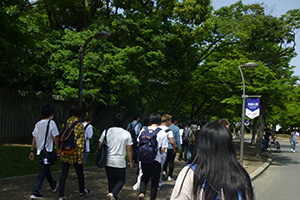 P1010973s
