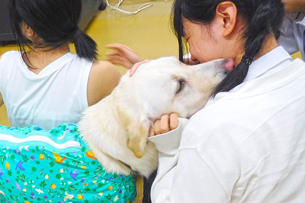 盲導犬学習会